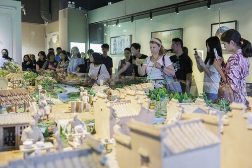 北京朝陽開展端午傳統文化國際交流體驗活動